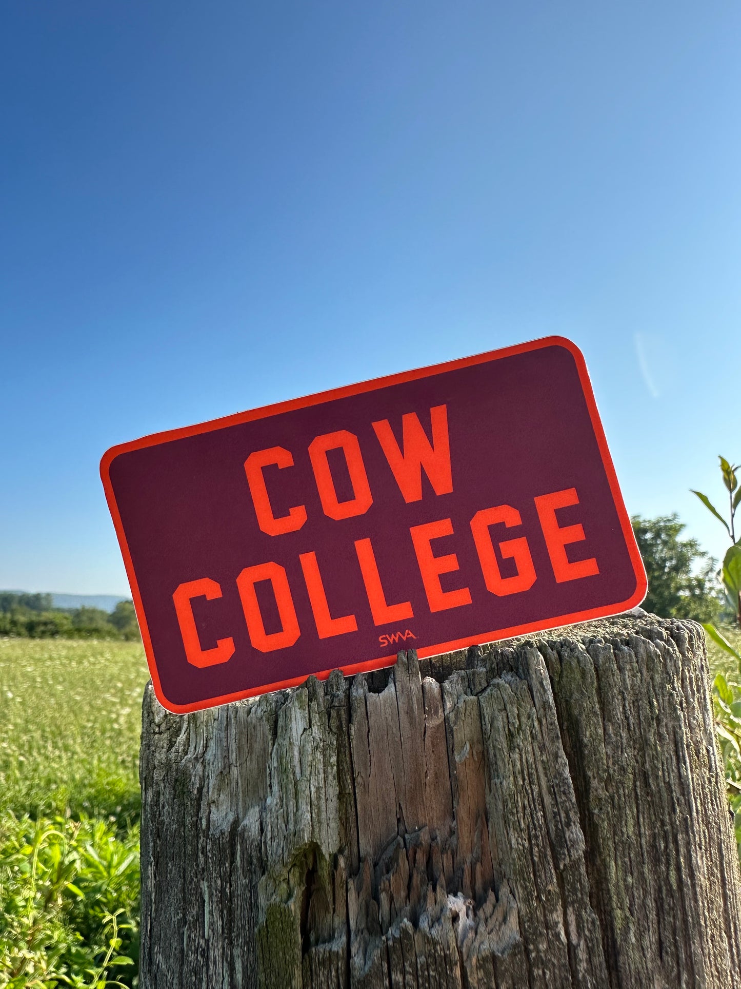 Cow College Sticker