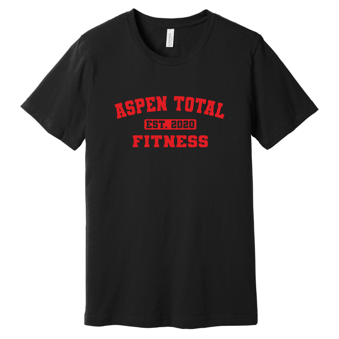 Aspen Total Fitness Vintage T-Shirt