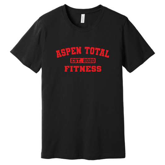 Aspen Total Fitness Vintage T-Shirt